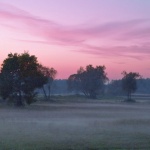 nature___Podravina___Djurdjevac, Croatia.