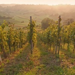 nature___Portugizac___Gornja Reka, Croatia.