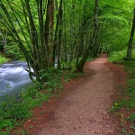 nature___Promenade___Zeleni Vir, Croatia.