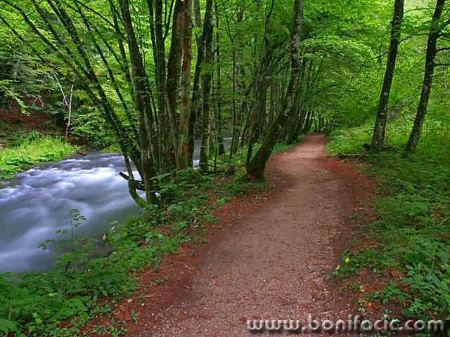 nature___Promenade___Zeleni Vir, Croatia.