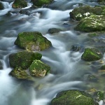 nature___Rafting___Vrbovsko, Croatia.