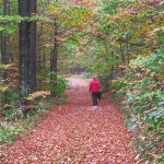 nature___Rainy Day___Bjelolasica, Croatia.