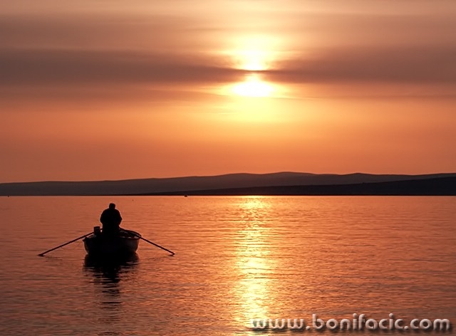 nature___Puller___Punat, Croatia.
