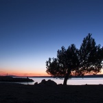 nature___Reverence___Punat, Croatia.