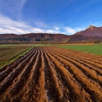 nature___Rutty___Ogulin, Croatia.