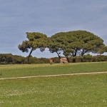 nature___Safari___National Park Brijuni, Croatia.