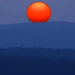 nature___Screening___Punat, Croatia.