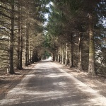 nature___Shades___Ogulin, Croatia.