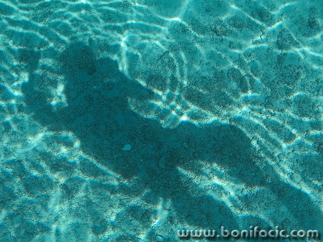 nature___Scuba___Stara Baska, Croatia.