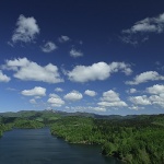 nature___Sheeps Over Lake___Lokve, Croatia.