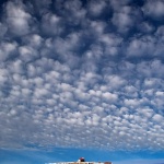 nature___Sheeps Over San Marino___Novi Vinodolski, Croatia.