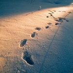 nature___Sign___Gorski Kotar, Croatia.