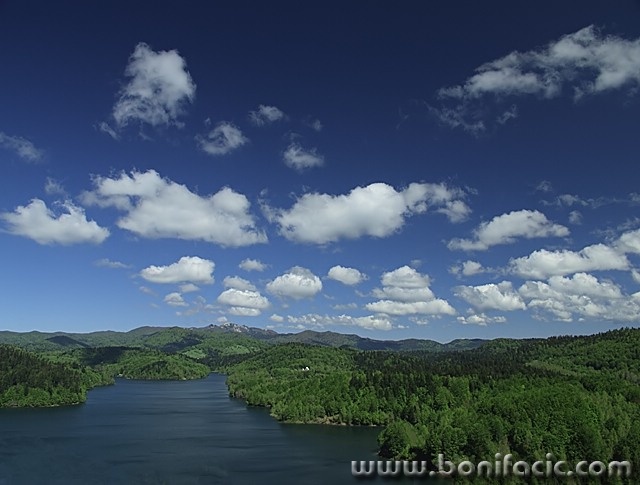 nature___Sheeps Over Lake___Lokve, Croatia.