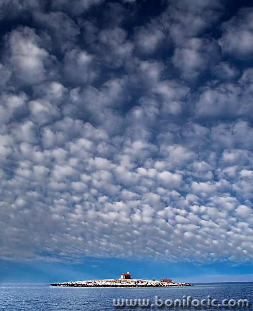 nature___Sheeps Over San Marino___Novi Vinodolski, Croatia.
