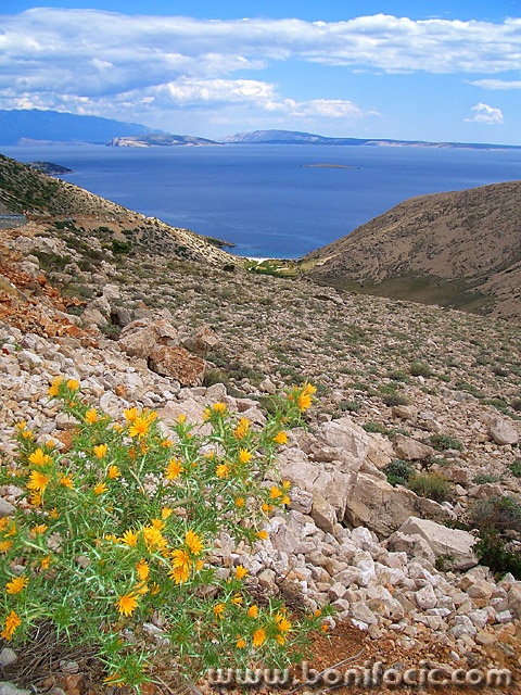 nature___Sight___Stara Baska, Croatia.