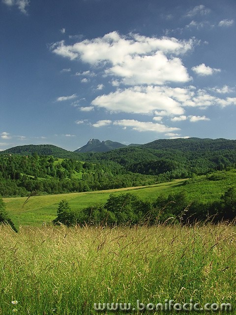 nature___Signalize___Gomirje, Croatia.