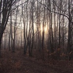 nature___Silvan___Jezerane, Croatia.