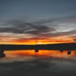 nature___Simply Red___Punat, Croatia.