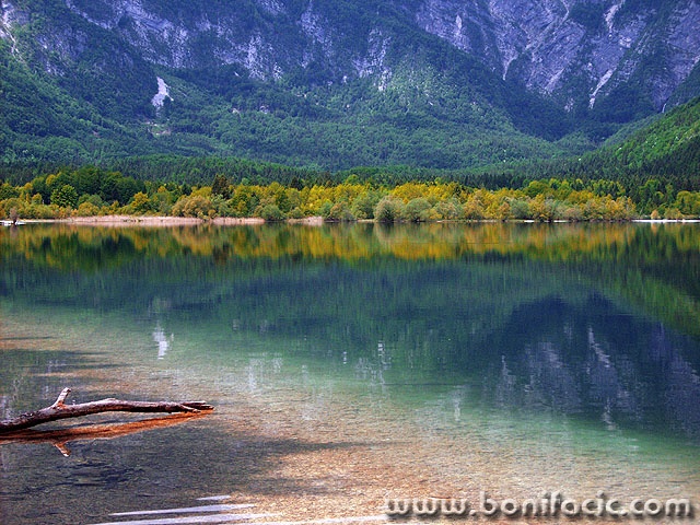 nature___Silent___Bohinj, Slovenia.