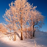 nature___Small & Big On Blue___Gorski Kotar, Croatia.