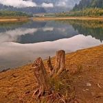 nature___Snake___Josipdol, Croatia.