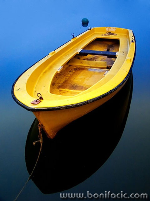stilllife___Yellow___Fuzine, Croatia.