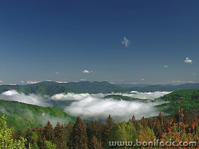 nature___Smolder___Gorski Kotar, Croatia.