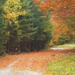 nature___Spirality___Bjelolasica, Croatia.