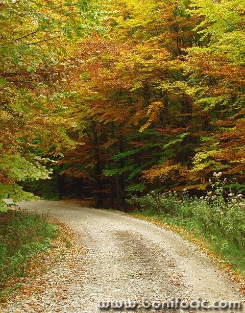 nature___Spiry___Fuzine, Croatia.