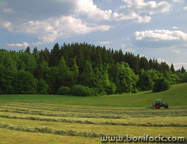 nature___Spring Doings___Slovenia.