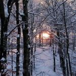 nature___Spy___Plitvice, Croatia.