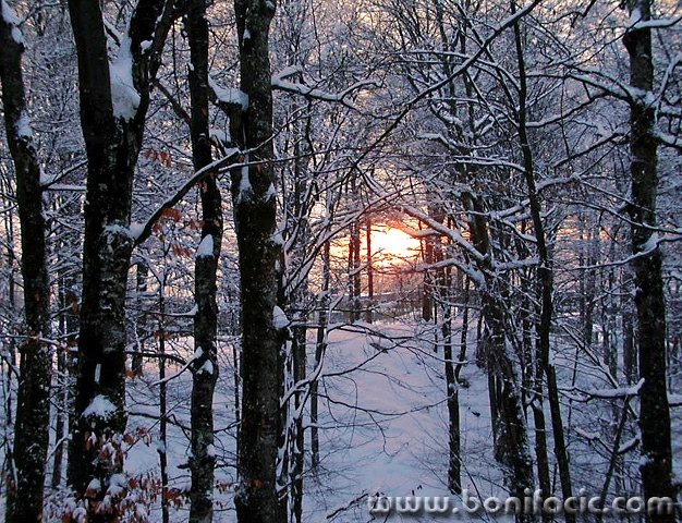nature___Spy___Plitvice, Croatia.