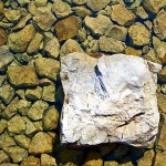 nature___Stone___Punat, Croatia.