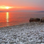 nature___Strand___Punat, Croatia.