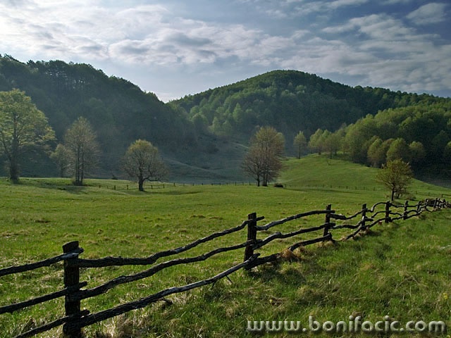 nature___Stockade___Kikovica, Croatia.