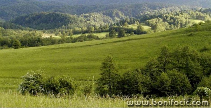 nature___Sun Valley___Vrbovsko, Croatia.