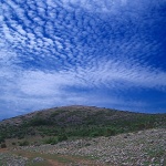 nature___Sus___Punat, Croatia.