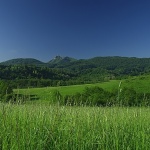 nature___Swell___Gomirje, Croatia.