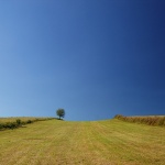 nature___Symmetry Breaker___Kordun, Croatia.