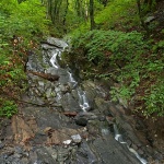 nature___Tear___Zeleni Vir, Croatia.