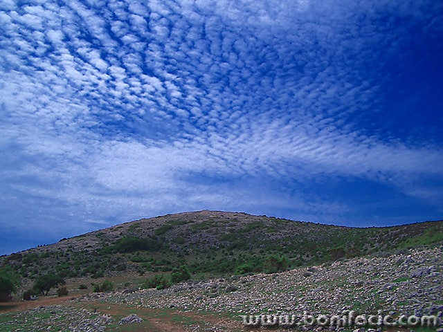 nature___Sus___Punat, Croatia.