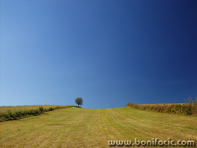 nature___Symmetry Breaker___Kordun, Croatia.