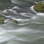 nature___Torrent___Zeleni Vir, Croatia.