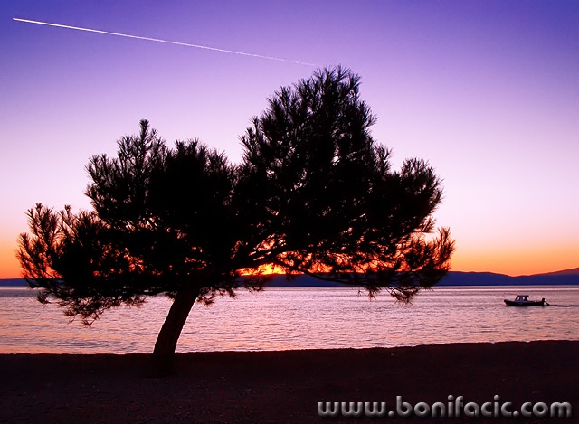 nature___Traffic___Punat, Croatia.
