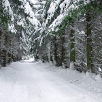 nature___Tunnel___Ogulin, Croatia.