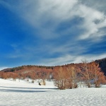 nature___Under Winter Sky___Begovo Razdolje, Croatia.