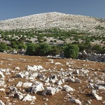 nature___Veli Vrh___Island Krk, Croatia.