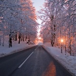 nature___Wakeful Eye___Gorski Kotar, Croatia.