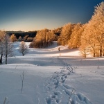 nature___Walking In My Shoes___Gorski Kotar, Croatia.