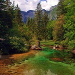 nature___Wellspring___Bohinj, Slovenia.